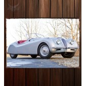 Металлическая табличка Jaguar XK120 Alloy Roadster 346